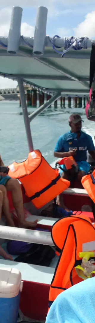 Schnorcheltour mit dem Walhai